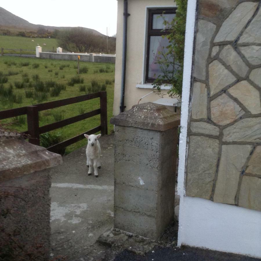 Sea View Chalet Kilsallagh Westport Co Mayo Exteriör bild